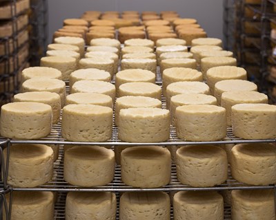 ASAE procede à apreensão de mais 250 quilos de queijo