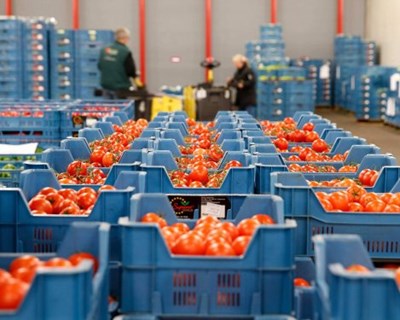 Brexit: Reino Unido esgotará alimentos num cenário sem acordo