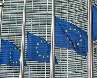 CE aprova o segundo inseto como ingrediente alimentar na Europa