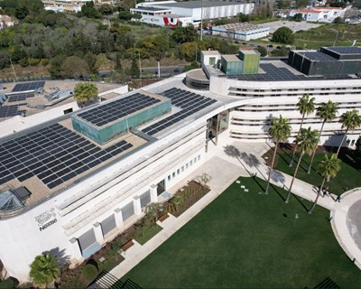 Edifício sede da Nestlé Portugal recebe certificação de sustentabilidade pioneira no país