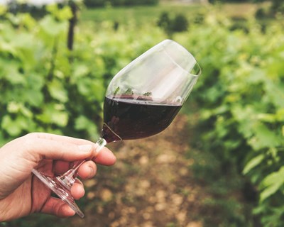 Produção de vinho pode registar nível baixo em 2021