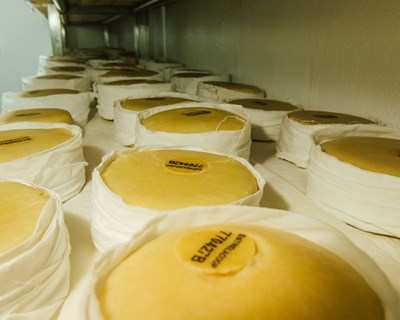 Estrelacoop promove encontro de produtores de queijo e queijarias