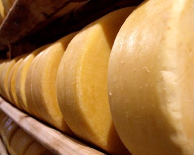 Encontram madeira em queijo parmesão nos EUA
