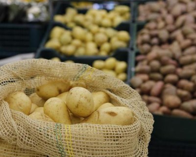 Mercados agroalimentares no Ribatejo Interior em junho e julho