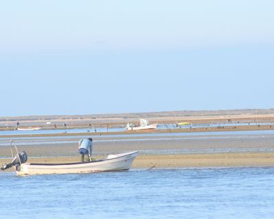 Movimento independente adverte que Áreas de Produção Aquícola no Algarve ameaçam Pescadores