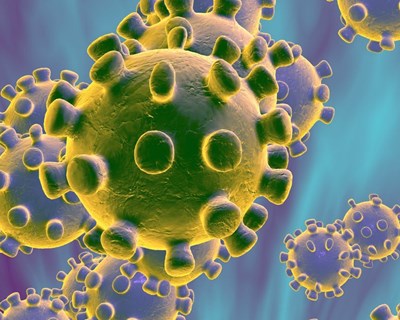 Pode o novo tipo de coronavírus ser transmissível através da comida?