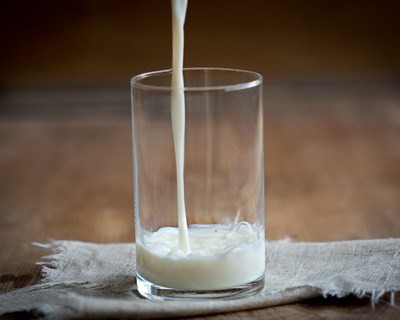 Prolacto coloca sistemas fotovoltiacos nas explorações dos produtores de leite