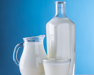 Prolacto exporta para todo o mundo e transforma 25% do leite de São Miguel