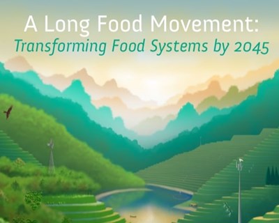 Relatório analisa futuro dos sistemas alimentares e o envolvimento da sociedade civil na sua construção
