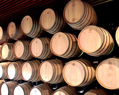 TAGUS apoia candidaturas para aumento da capacidade de armazenagem do vinho