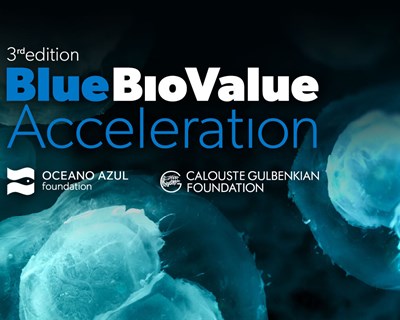 14 startups ligadas à bioeconomia azul na fase final do programa Blue Bio Value
