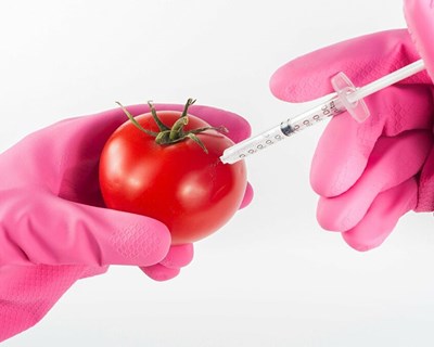 A aceitação por parte do consumidor de alimentos geneticamente editados