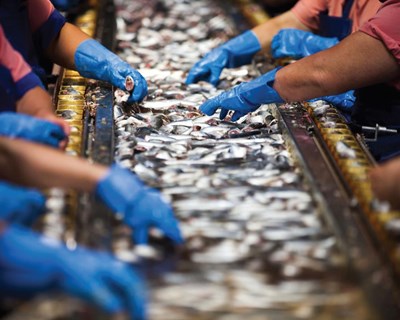 A indústria de conservas de peixe em Portugal