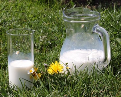 Açores com número recorde de produção de leite em 2017