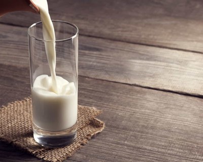 Açores investem em equipamento para classificação do leite