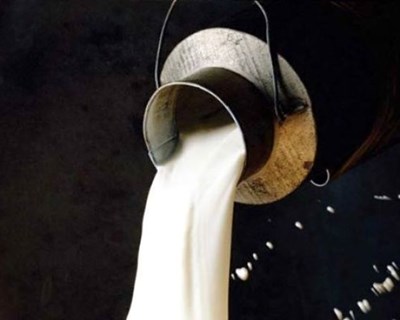 Açores: Parlamento pede a Bruxelas maior regulação do setor leiteiro