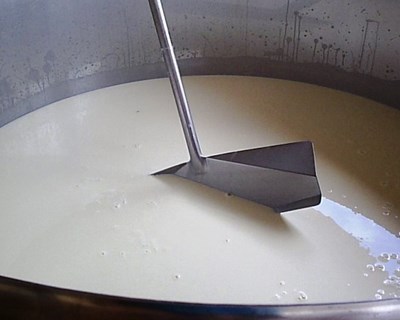 Açores querem acrescentar mais valor, receita e rendimento na produção leiteira