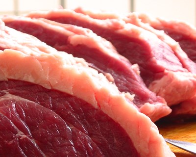 Aditivos na indústria da transformação de carnes em foco na Agrária de Coimbra
