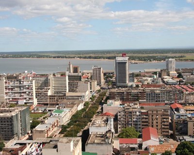 Agroalimentar: missão empresarial a Moçambique em agosto