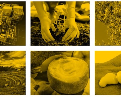 Agroalimentar: projeto luso-espanhol apoia investigação e inovação