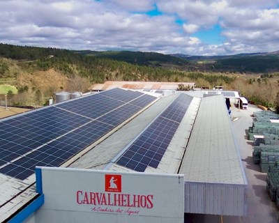 Águas de Carvalhelhos aposta em energia solar para reduzir pegada de carbono e eletrifica frota automóvel