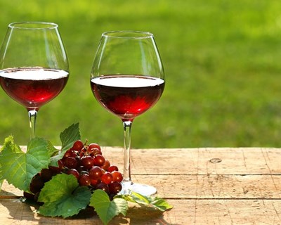 Angola importa €45 milhões em vinhos portugueses
