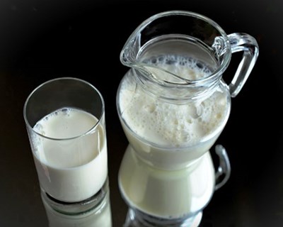 APED e ALIP unidas no apelo ao consumo de leite