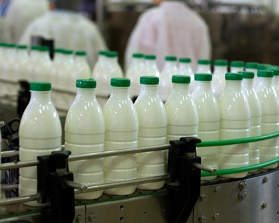 Aprovado regime que obriga à publicação nos rótulos de origem do leite e derivados