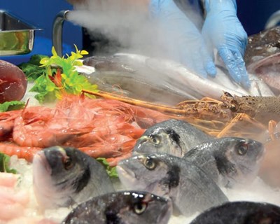 Aqualife: as melhores soluções de nebulização ao dispor do mercado
