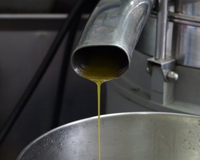 ASAE apreende mais de 16 mil litros de azeite num valor superior a 73 mil euros