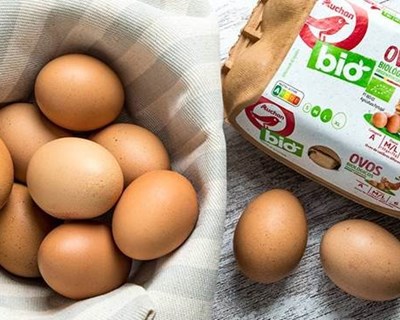 Auchan tem gama de ovos biológicos produzidos em Portugal
