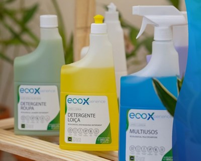 Novo detergente ecológico feito a partir de óleo alimentar usado
