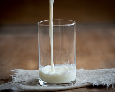 Autorização do Novo Alimento: beta-lactoglobulina (β-lactoglobulina) de leite de bovino