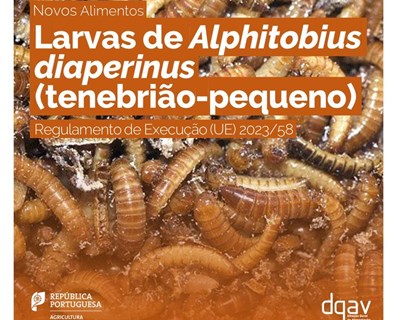Autorização do novo alimento: formas congelada, em pasta, desidratada e em pó de larvas de Alphitobius diaperinus (tenebrião-pequeno)