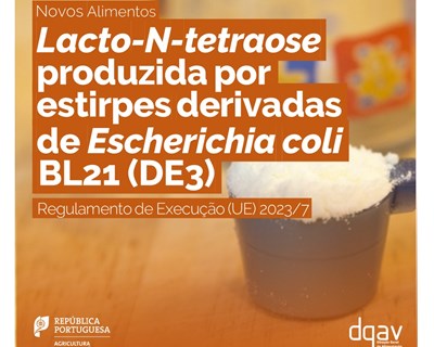 Autorização do novo alimento: lacto-N-tetraose produzida por estirpes derivadas de Escherichia coli BL21(DE3)