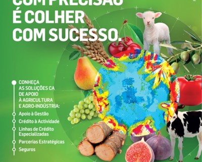 CA apoia modernização da produção e internacionalização do setor agrícola