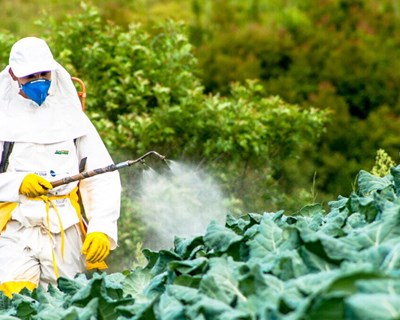 CESE apoia iniciativas e soluções para reduzir riscos dos pesticidas
