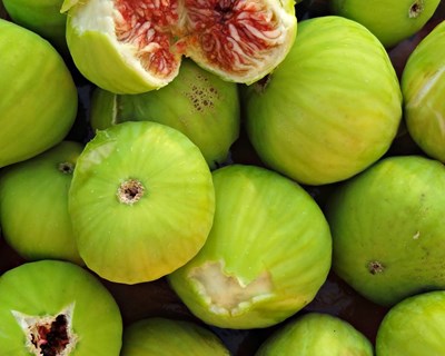 Chutney – Aproveitamento de figo “pingo de mel”