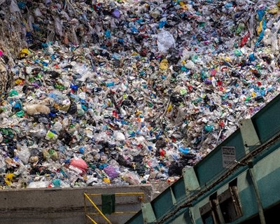 Cidadãos dos oito municípios da Lipor unidos na aposta pela reciclagem