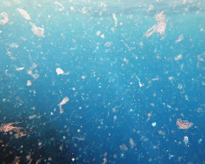 Cientistas descobrem técnica de remoção de microplásticos da água através de bactérias