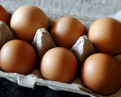 Cinco empresas francesas afetadas com ovos contaminados com Fipronil