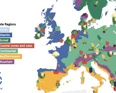 Comidas locais e sazonais: EUFIC lança pela primeira vez na Europa mapa interativo de frutas e legumes