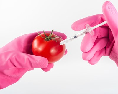 Comissão Europeia autoriza culturas geneticamente modificadas serem utilizadas na alimentação