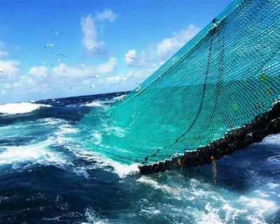 Competição dedicada a negócios na indústria da pesca chega em novembro