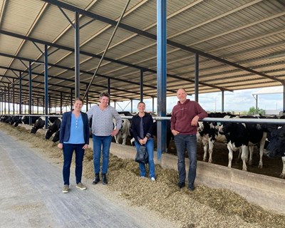 Comunidade neerlandesa apreensiva com futuro da produção de leite em Portugal