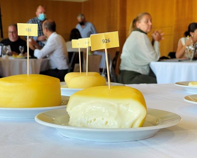 Concurso Queijos de Portugal elege os melhores queijos portugueses