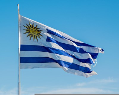 Condições sanitárias estabelecidas para exportação de leite e produtos lácteos para o Uruguai