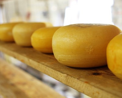 Conhecimento, produção, experimentação e consumo de queijo no Portugal Cheese Festival 2023