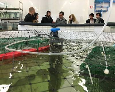 Consórcio Aquatropolis quer desenvolvimento sustentável da aquacultura