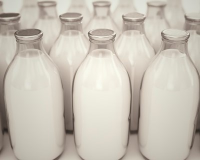 Consumidores solidários com produtores de leite